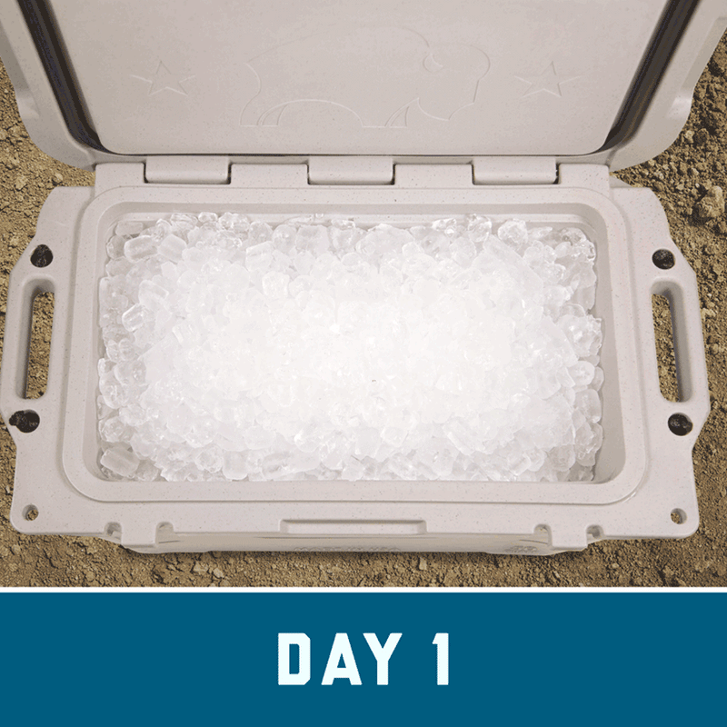 Covenant Bison Cooler